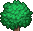 File:Treetop Forest 3.png