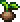 World seed icon.png