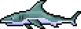 Shark (old).png