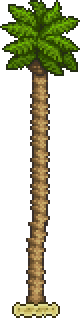 Palm Tree.png