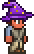 Wizard's Hat (equipped).png