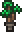 Potted Forest Palm inventory icon