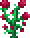 Strange Plant (red) (placed).png