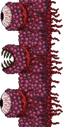 File:Wall of Flesh.png