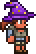 Wizard's Hat equipped (female)