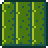 Cactus (placed).png