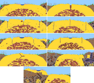 Several surface Desert generation examples. From left-to-right, top-to-bottom: Oasis; pit; larva holes; anthills; Oasis and larva holes; Oasis and anthills; chambers; a featureless Desert; a Dunes biome (with an Oasis) near the main Desert.