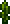 Alga verde lima