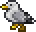 Archivo:Seagull.png