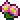 Archivo:Pink Prickly Pear.png