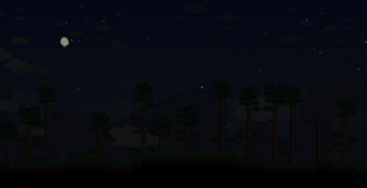 Noche paisaje.png