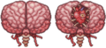 Cerebro Cthulhu.png