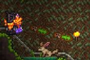 Criaturas selvaticas persiguiendo al jugador.jpg