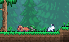 Bunny and Squirrel in a Forest.png
