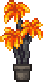 Potted Magma Palm placed