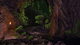 Jungle souterraine