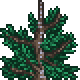 File:Treetop Boreal Alt2 2.png