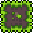 File:Jungle Grass Block (placed).png