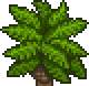 File:Treetop Palm 1.png