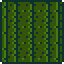 File:Cactus Wall (placed).png