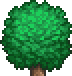 File:Treetop Forest 2.png