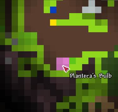 File:Plantera's Bulb on map.png