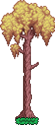 Tree (Willow).png