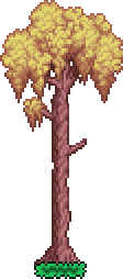 File:Tree (Willow).png