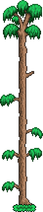 File:Tree (Forest).png