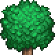 File:Treetop Forest 1.png