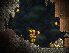 File:Gold Coin Stash 3.png