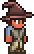 File:Wizard Hat (equipped).png