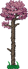 File:Tree (Sakura).png