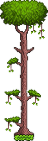 Tree (Jungle).png