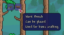 3. Craft a Work Bench