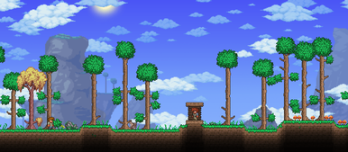 A scene in the Forest in normal gravity