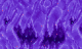 Mur de glace violette fissurée avec des points bleus et roses. (Peut causer une confusion avec la glace corrompue en raison de la couleur violette)
