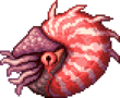 恐惧鹦鹉螺