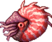 恐惧鹦鹉螺
