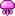 Medusa rosa