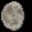 Moon phase 2 (Waning Gibbous)