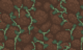 Petites vignes poussant sur un arrière-plan de terre