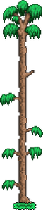 Tree (Forest).png