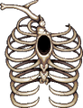 月亮領主的死亡動畫中的軀幹。